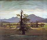 Caspar David Friedrich Canvas Paintings - Landscape with Solitary Tree